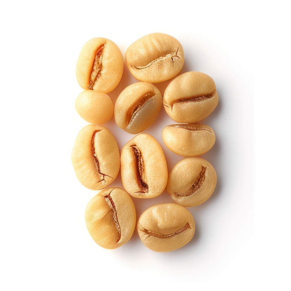 Kafferistning gulning Homeroast