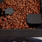 ScandiBloom AutoLuma hos Home Roast